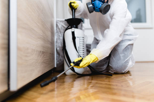 Best Pest Control Treatment  in Westwood, CA
