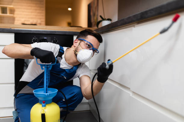Trusted Westwood, CA Pest Control Experts