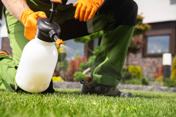 Best Pest Control Near Me in Westwood, CA