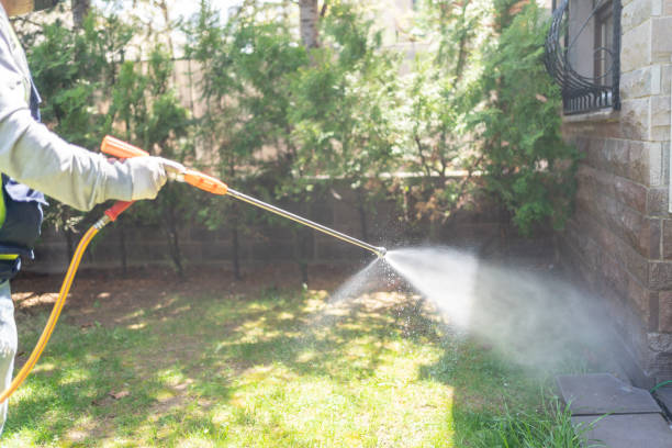 Pest Prevention Services in Westwood, CA
