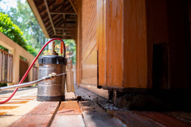 Best Pest Control for Restaurants  in Westwood, CA