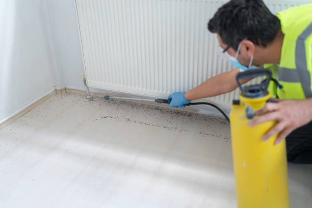 Best Residential Pest Control  in Westwood, CA